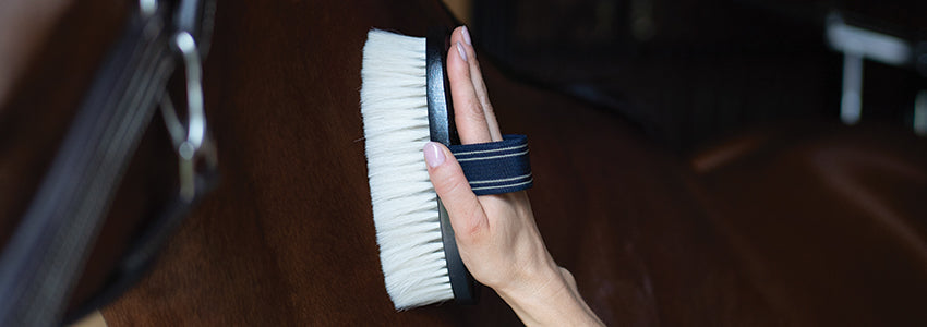 50% Off Supra & Shedrow Grooming