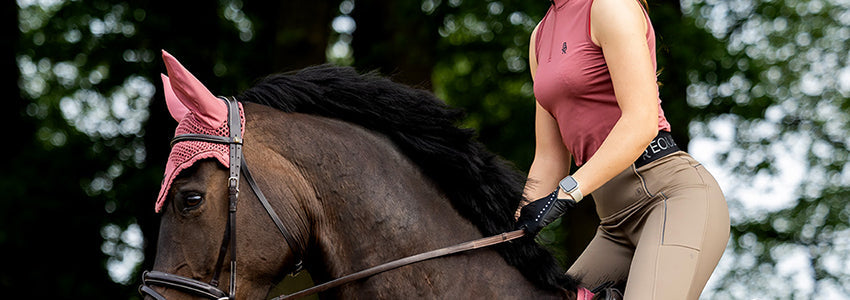 BR Equestrian Equipment