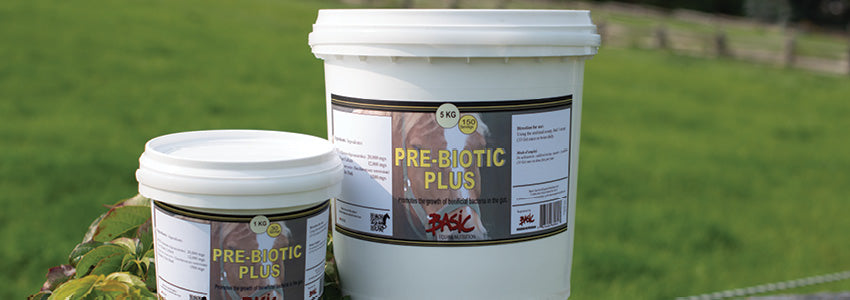 Basic Equine Nutrition
