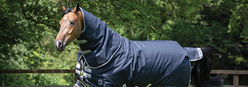 Deals, Deals, Deals!