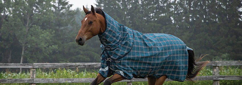 Horseware Ireland