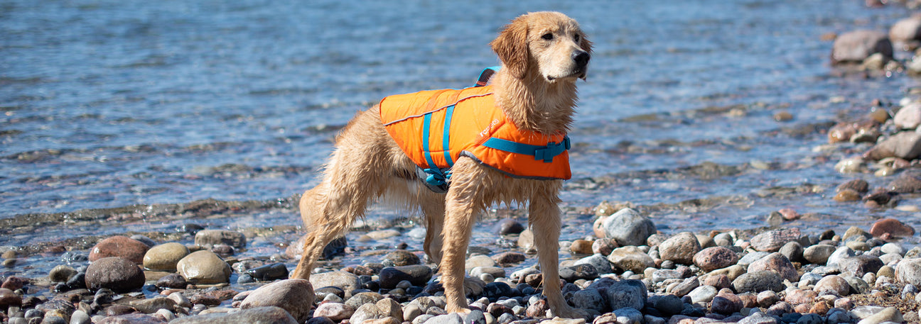 RC Pet Products