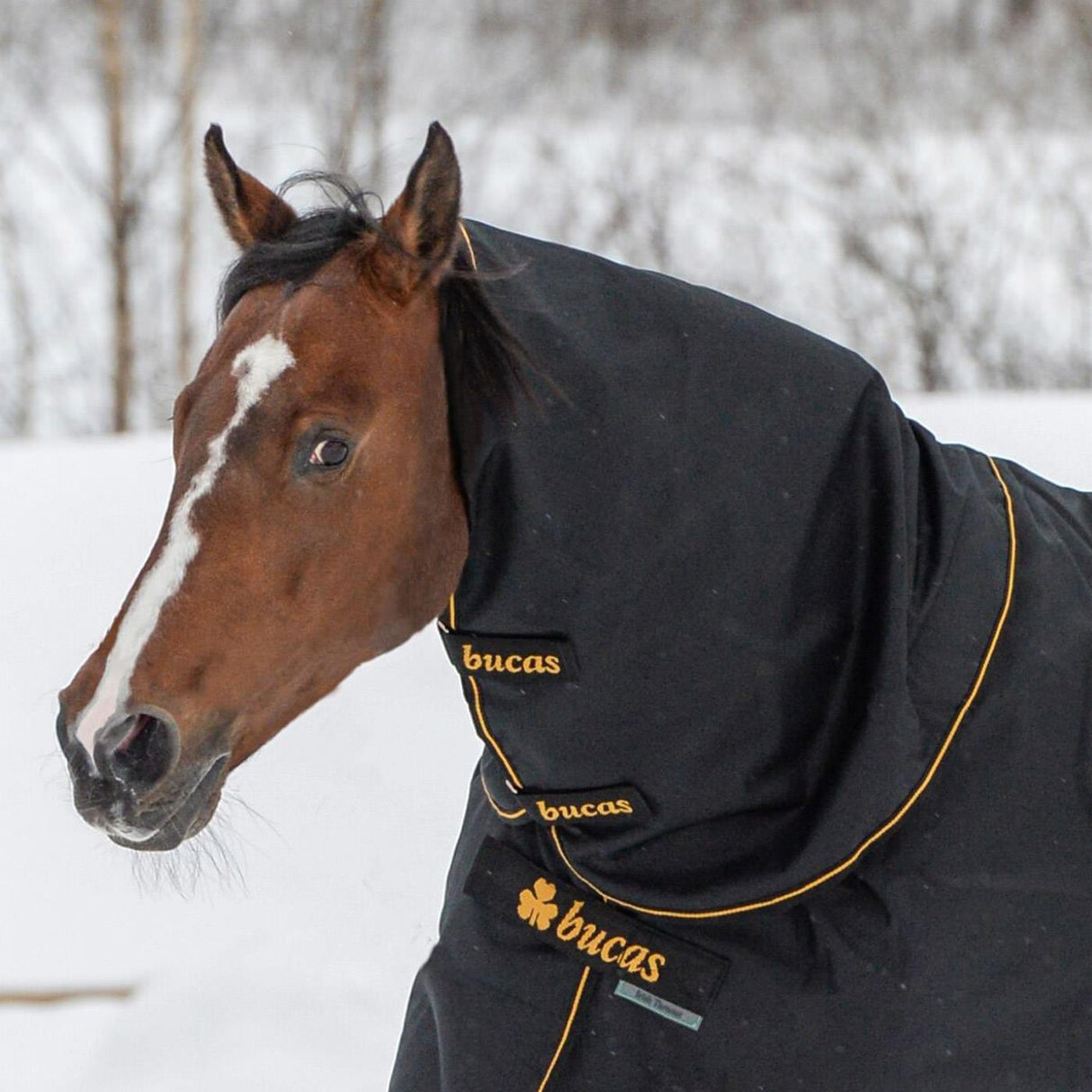 Bucas Irish Turnout Combi Neck Extra