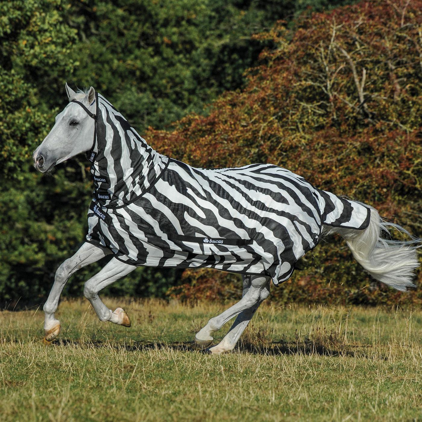Bucas Buzz Off Zebra Full Neck Pony Fly Sheet