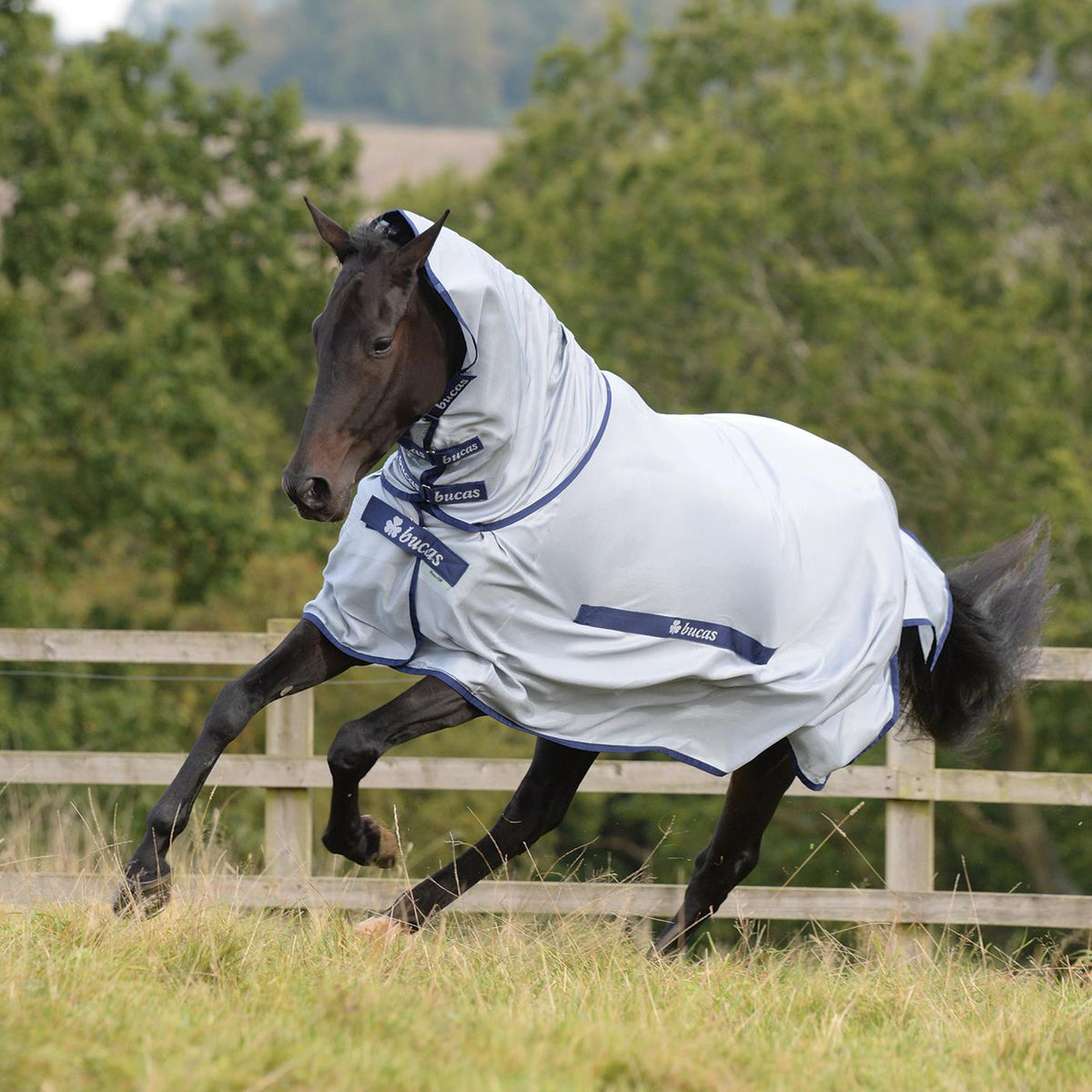 Bucas Buzz Off Fly Sheet W/ Detachable Neck Greenhawk Equestrian Sport