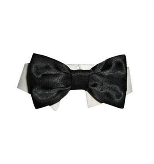 Pooch Outfitters Dog Shirt Collar W/ Satin Bowtie