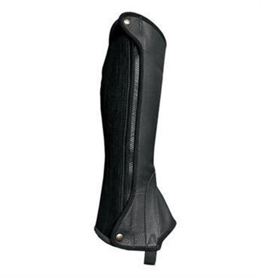 Elite Leather Half Chaps