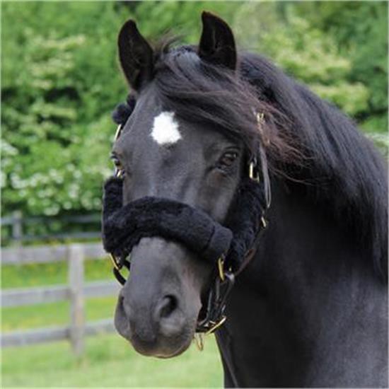 Shedrow Pony Halter Cover Set