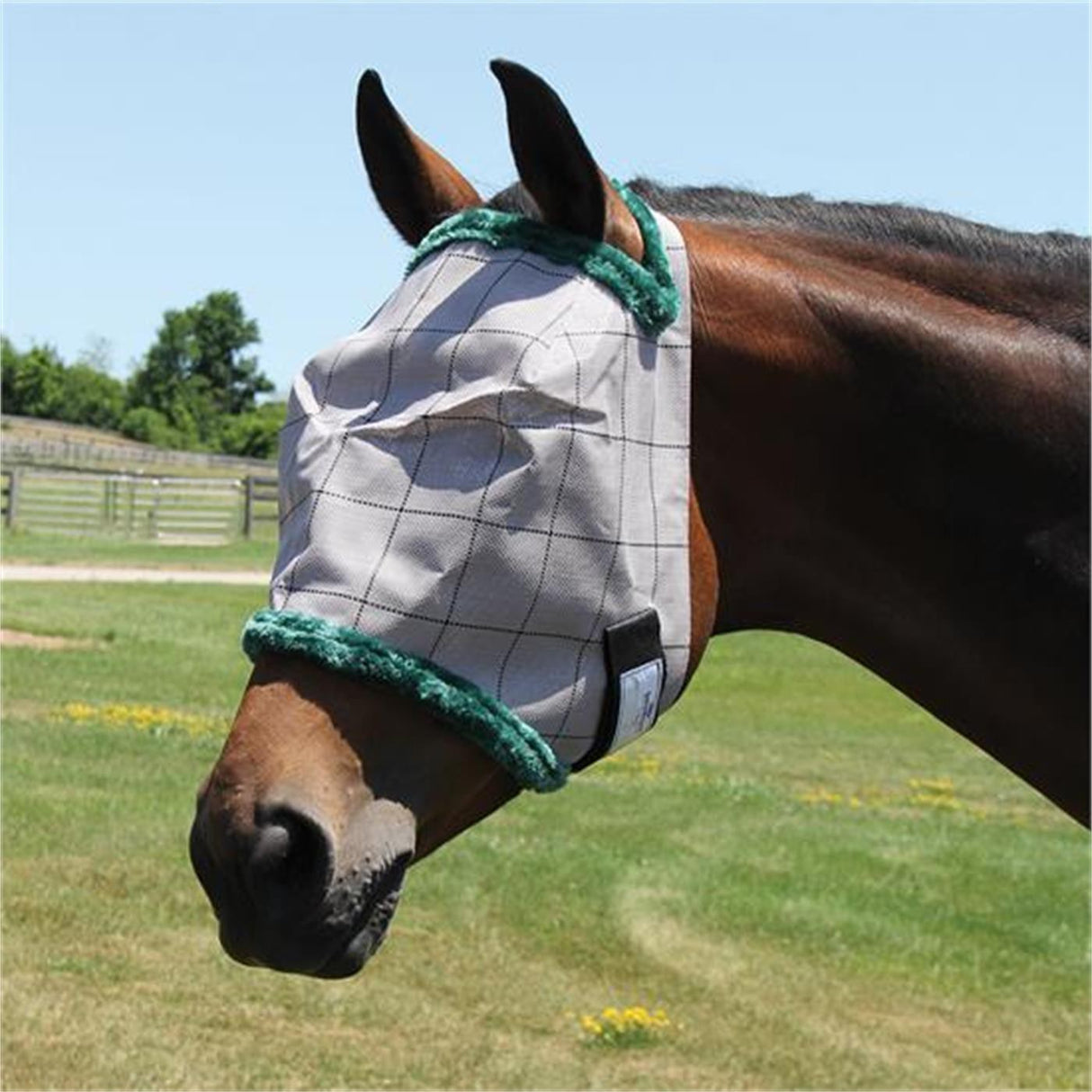 Farnam Supermask - Sans Oreilles