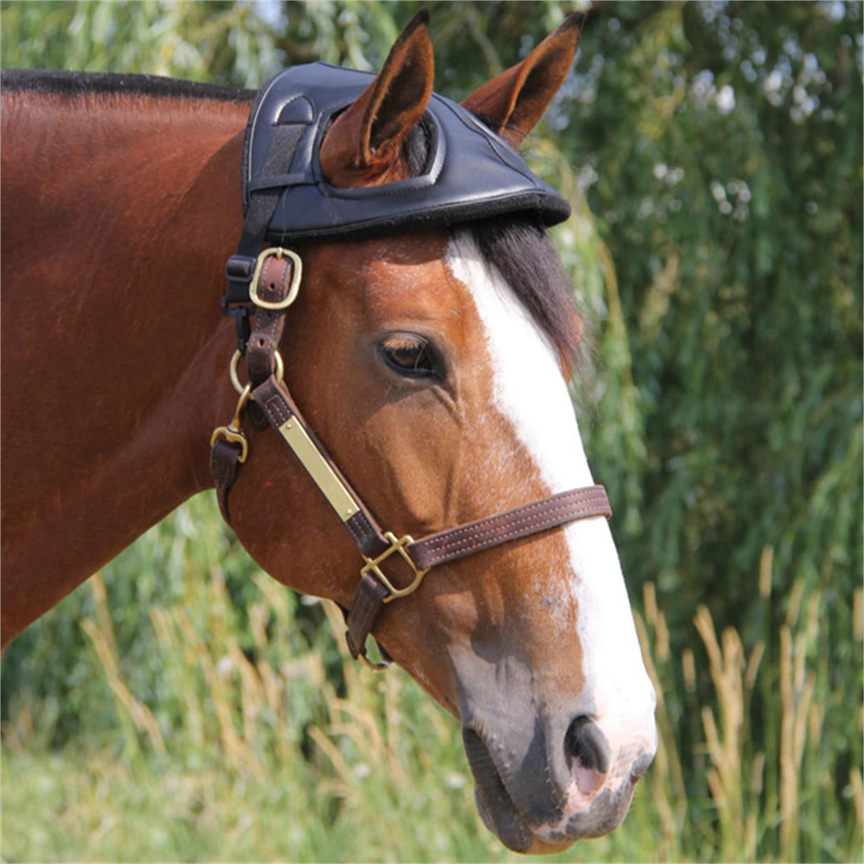 Casque Cheval de Cashel