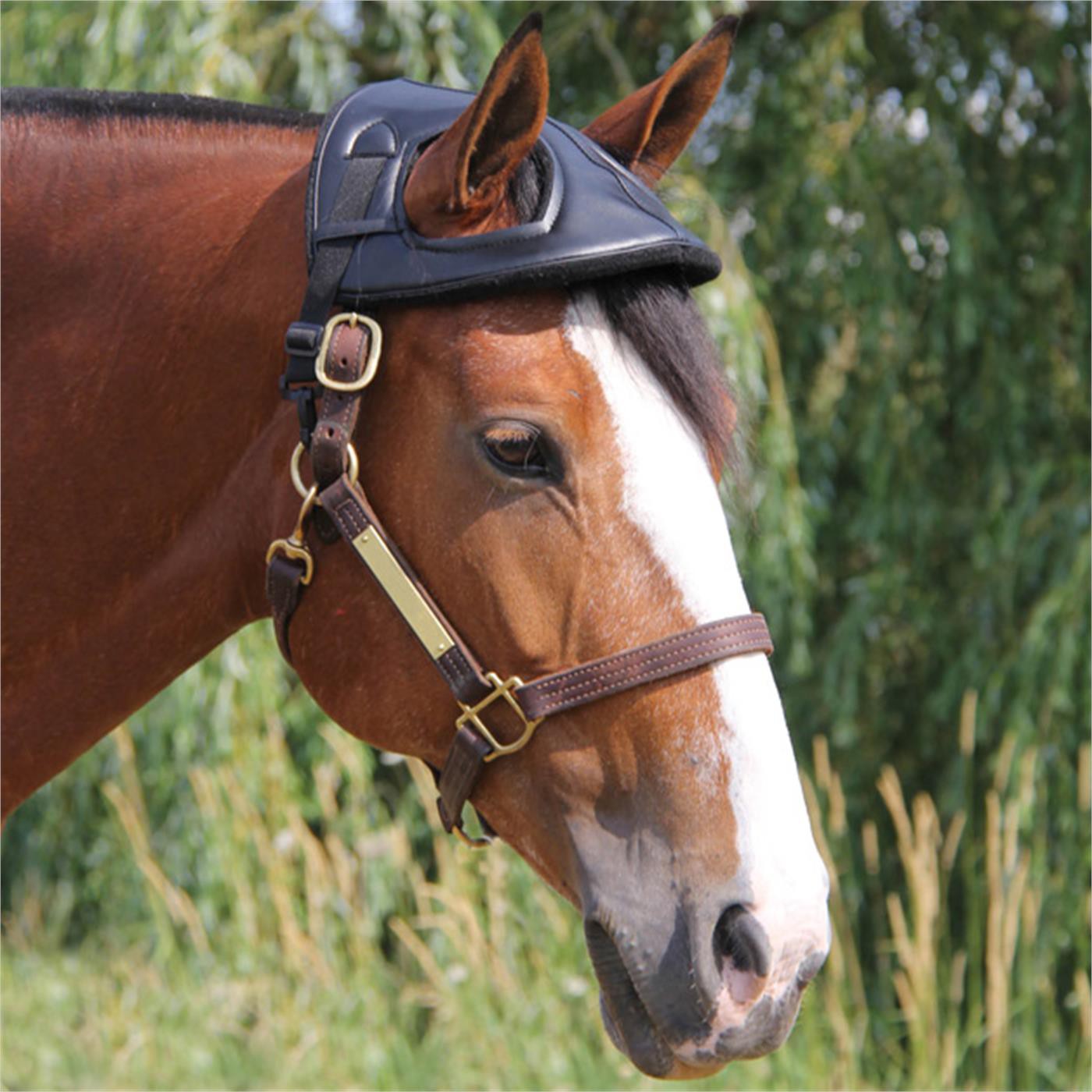 Casque Cheval de Cashel