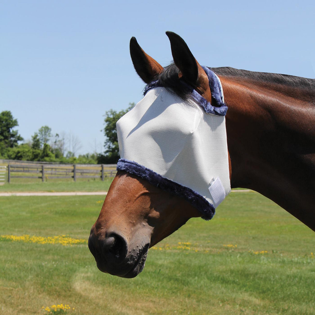 Supra Fly Mask