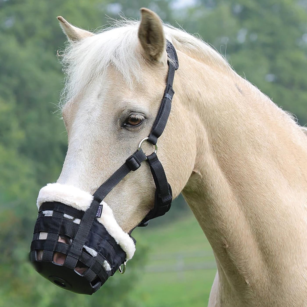 Shires Deluxe Grass Muzzle