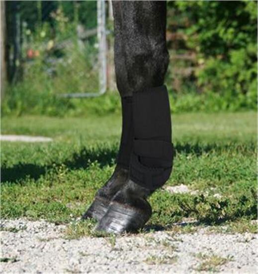 Bottes de sport Supra Mini