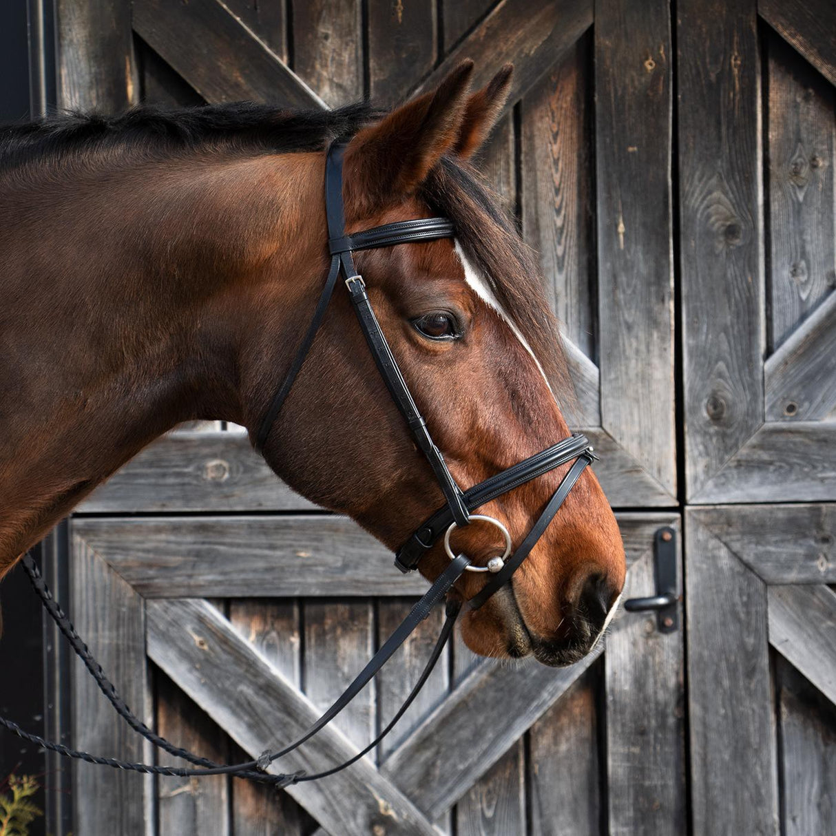 Val du Bois Padded Dressage Bridle W/ Removable Flash