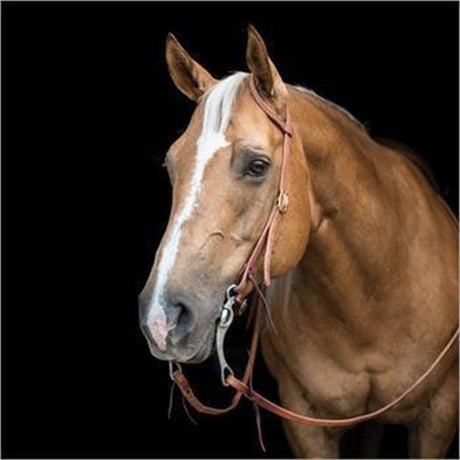 Copper Canyon Harness Leather One Ear Headstall W/ Ties