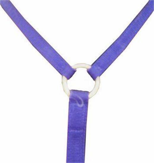 Shedrow Thoroughbred Martingale - Yoke Only