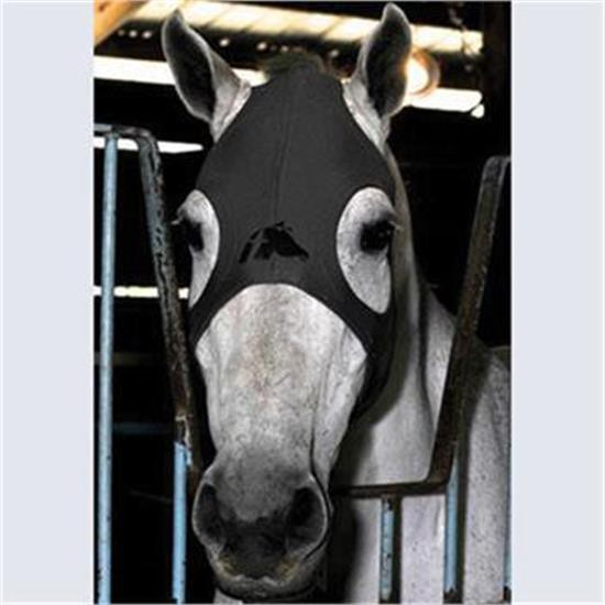 Masque de cheval en titane liquide Fenwick