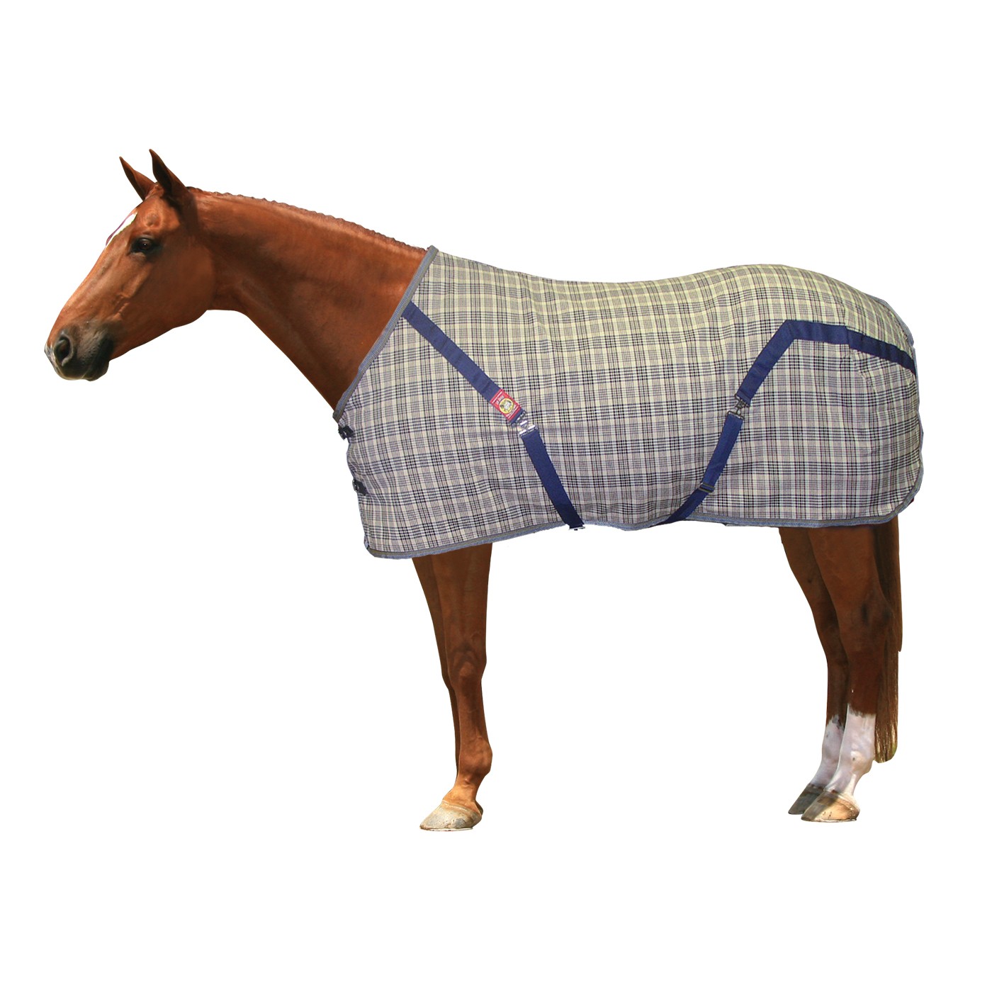 5A Baker Summer Sheet