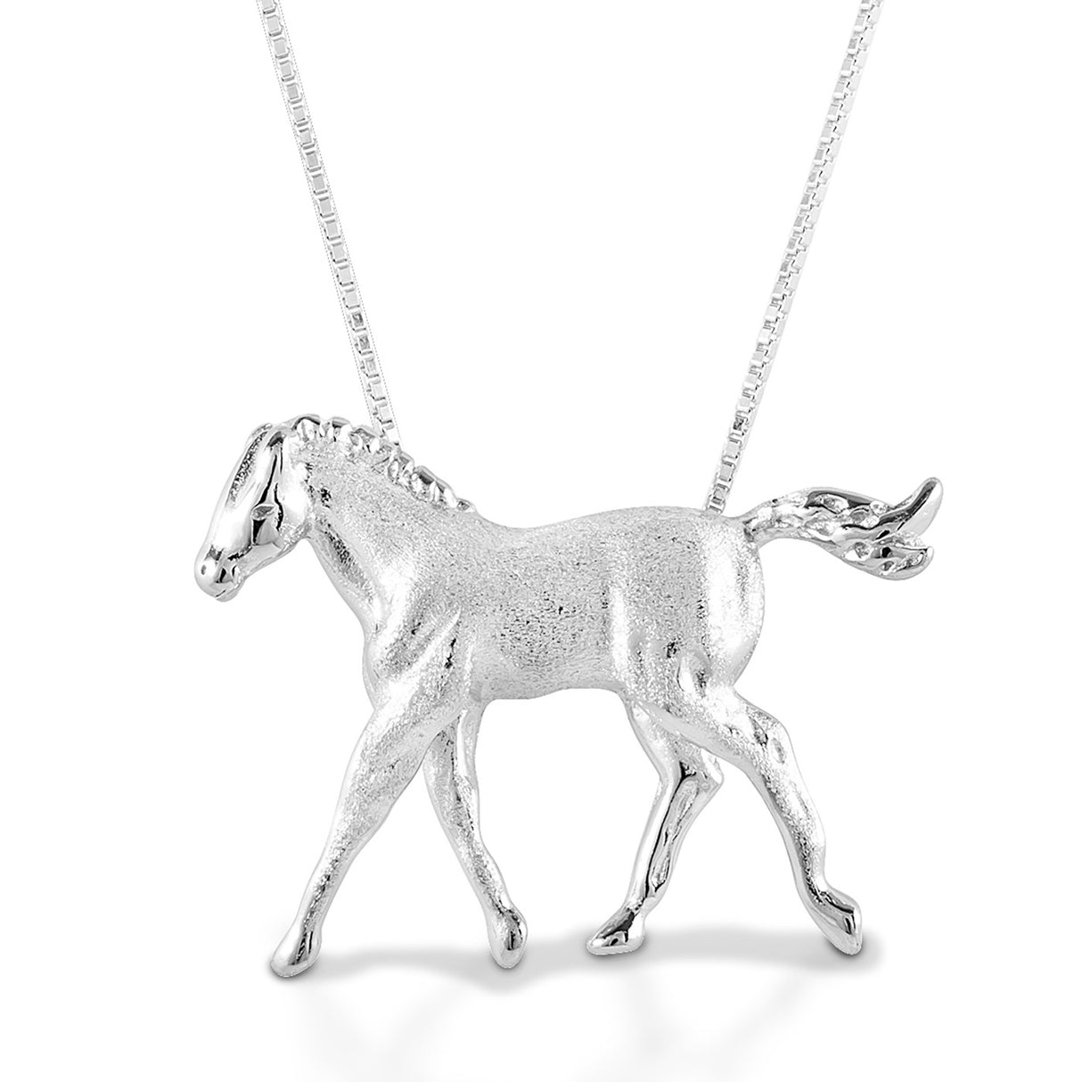 Collier poulain au trot Kelly Herd