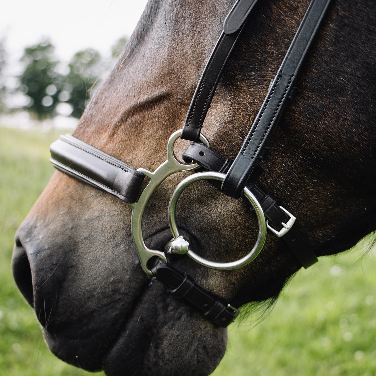 Val du Bois Controller Noseband