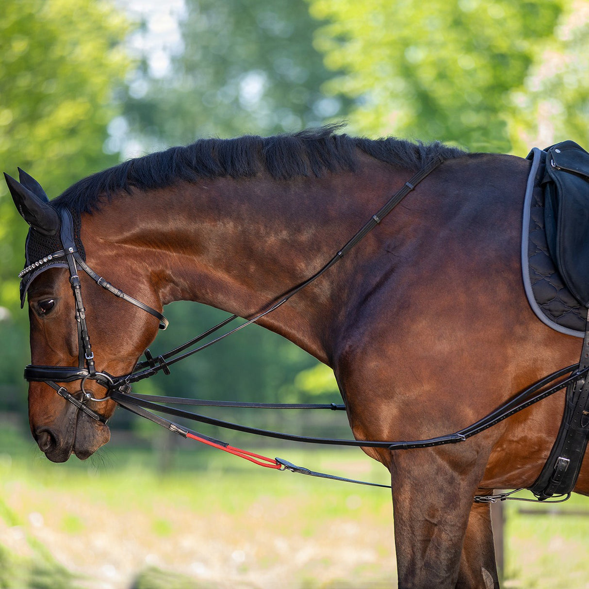 Waldhausen W/TrainRein Draw Reins
