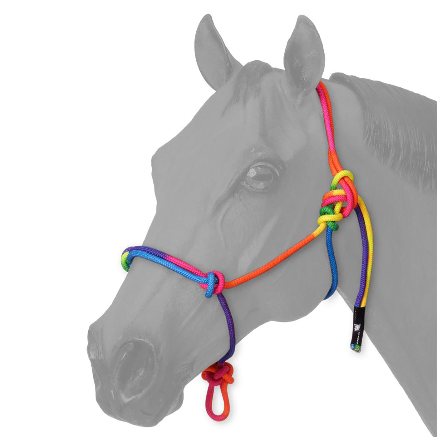 Tough1 Multi-Coloured Miniature Rope Halter