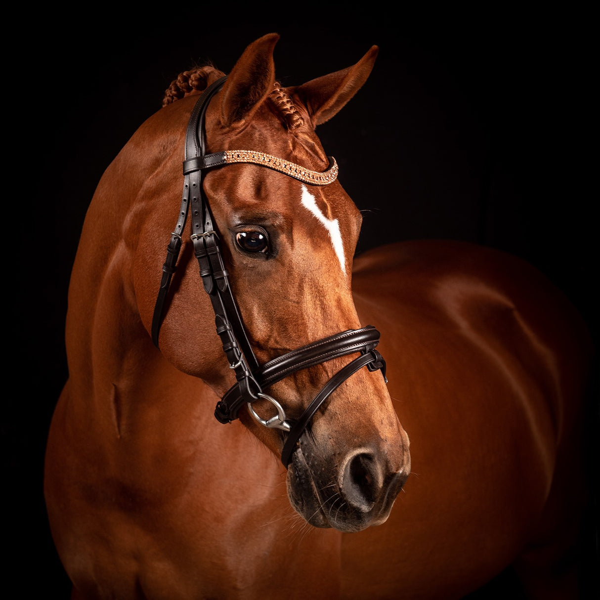 Bridon de Dressage Princess Wave Or Rose FFE