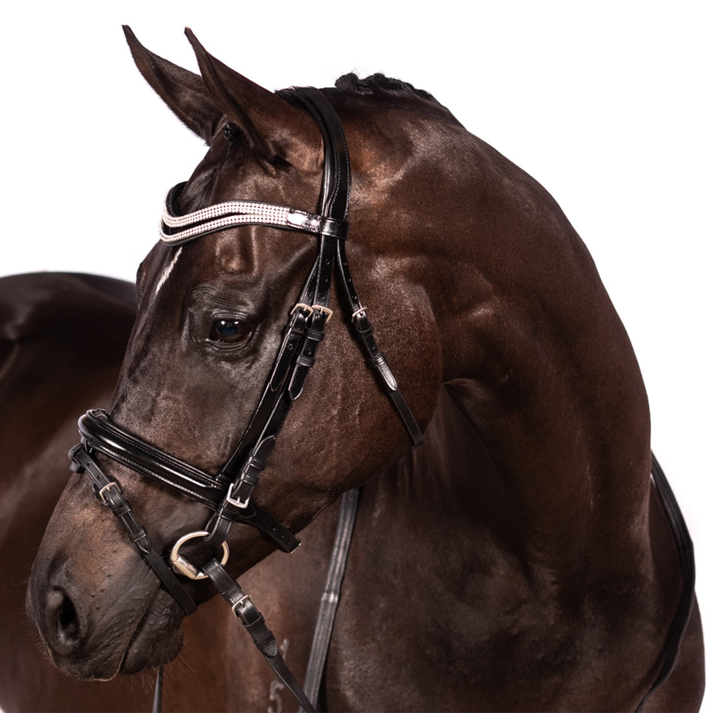 Bridon de dressage FFE Split Wave