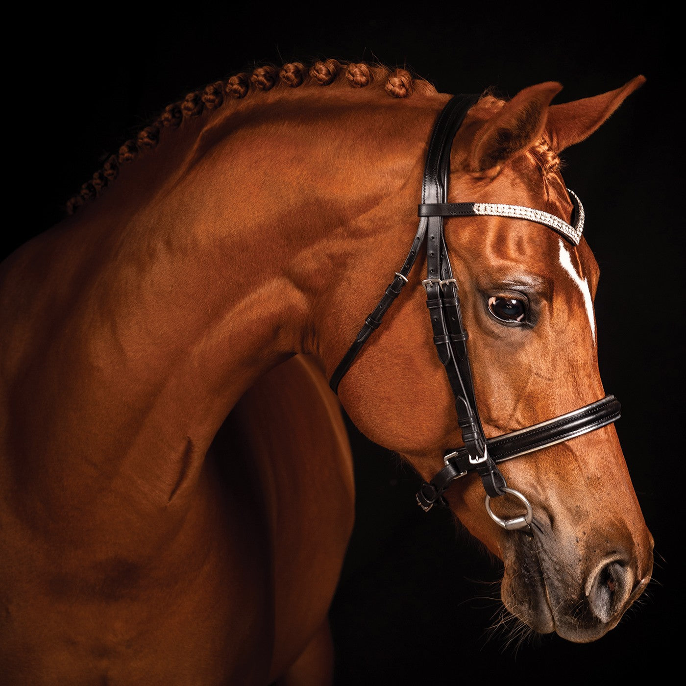 Bridon de Dressage Passepoil Argent FFE Crystal V