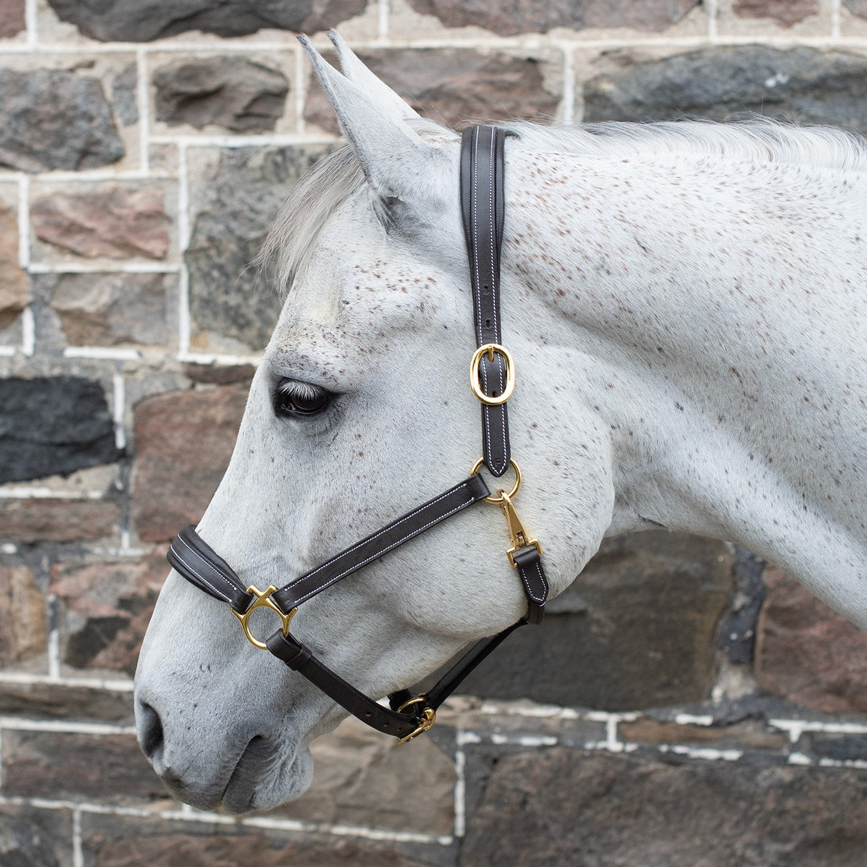 Val du Bois Comfort Soft Padded Leather Halter