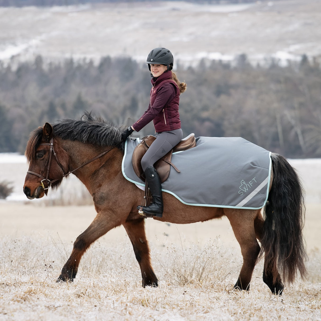 Swift Pony Exercise Sheet