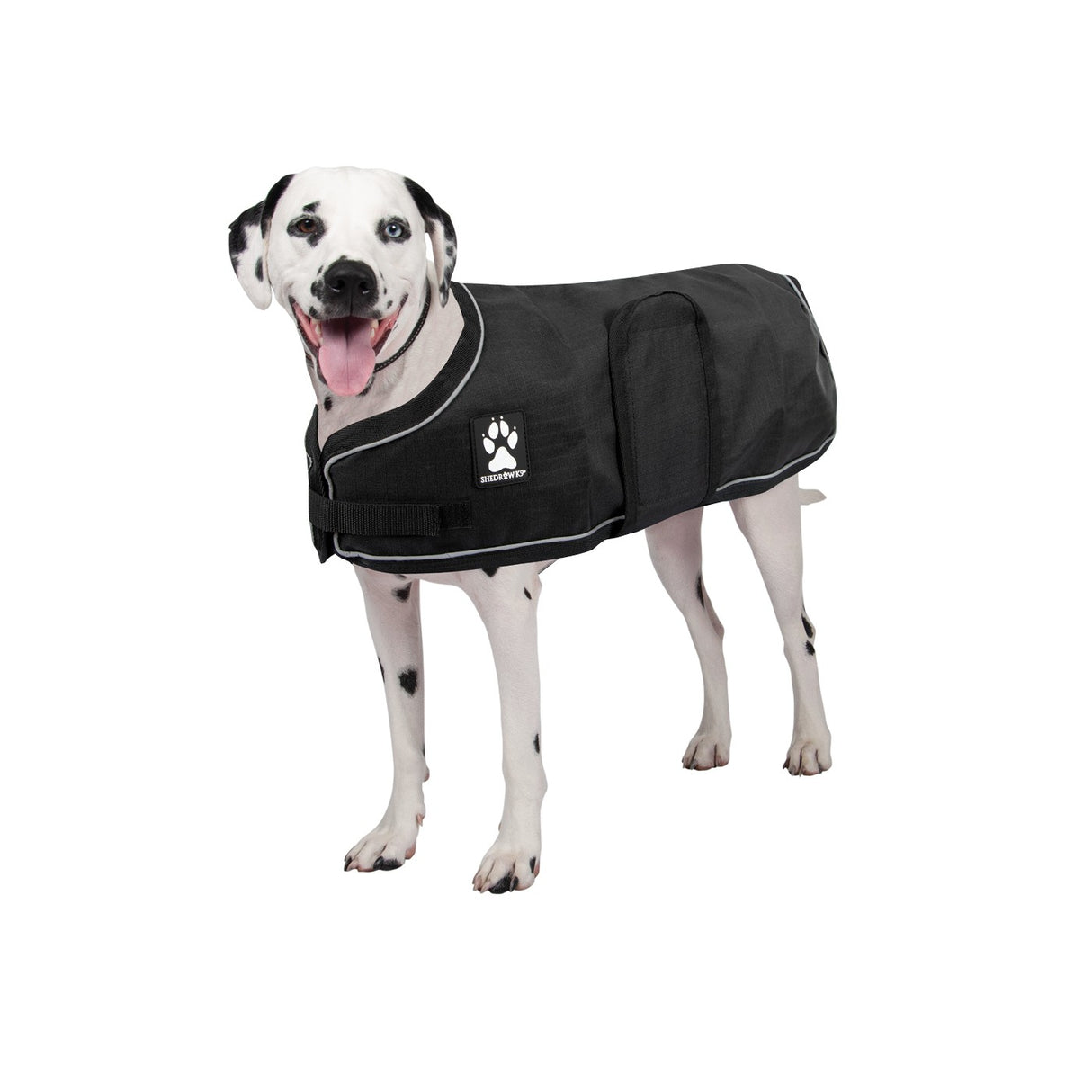 Shedrow K9 Harbour 2.0 Rain Coat