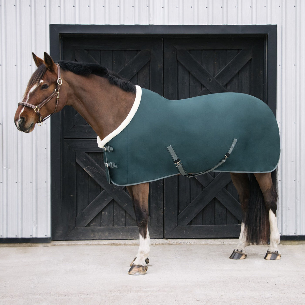 Shedrow Soft Shell Cooler Greenhawk Equestrian Sport