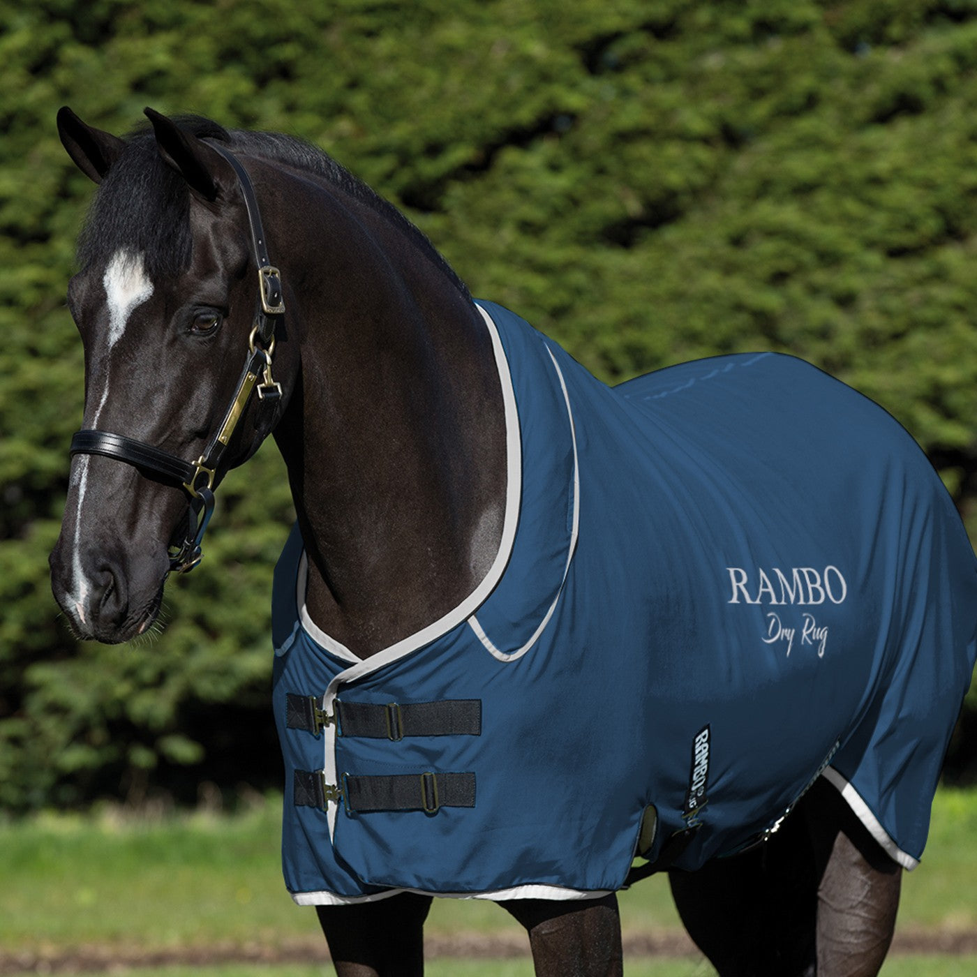 Rambo Dry Tapis Suprême
