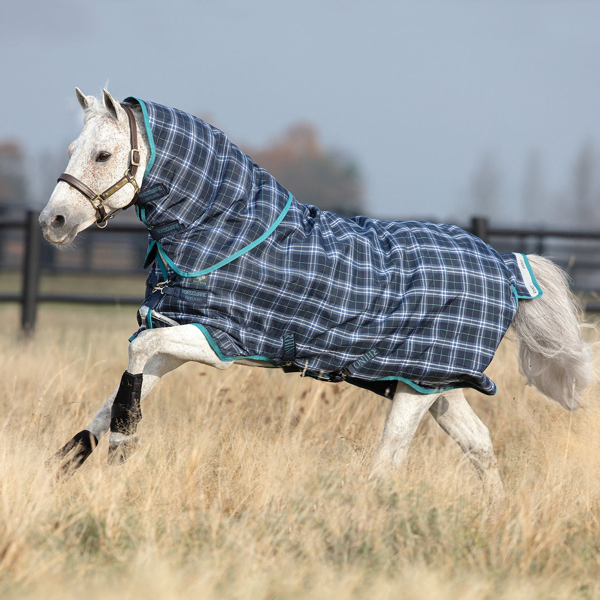 Rhino Pony Plus Medium Turnout Blanket 250 g