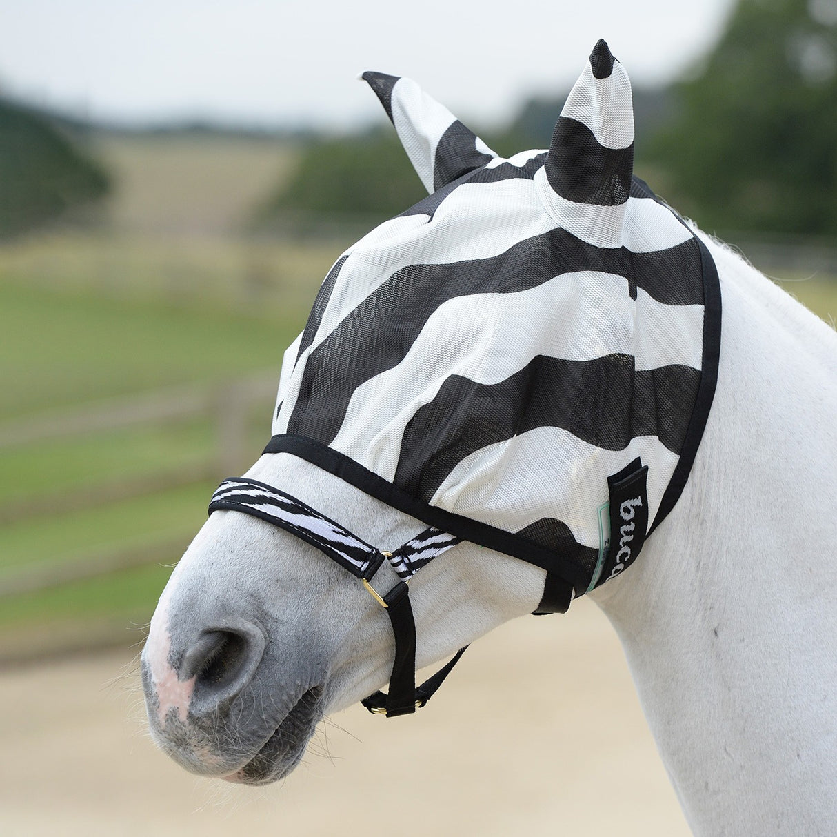 Bucas Zebra Regular Fly Mask