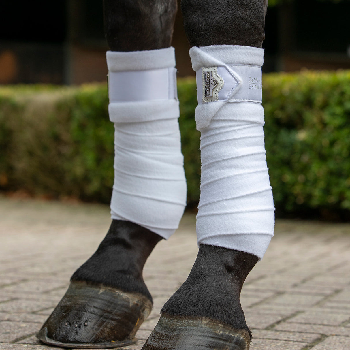Bandages Polo LeMieux Loire
