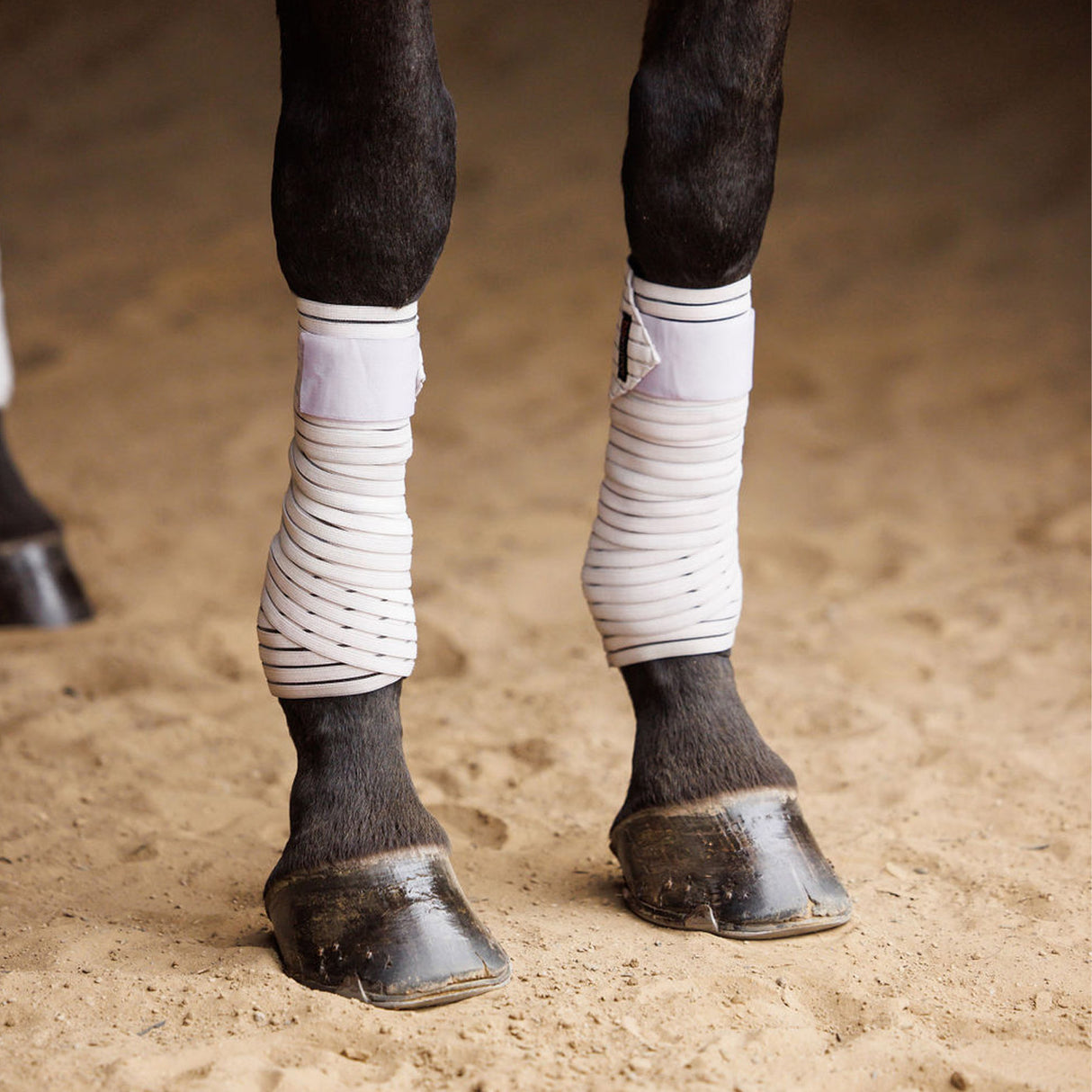 Anatomeq AirSupport Polo Wraps