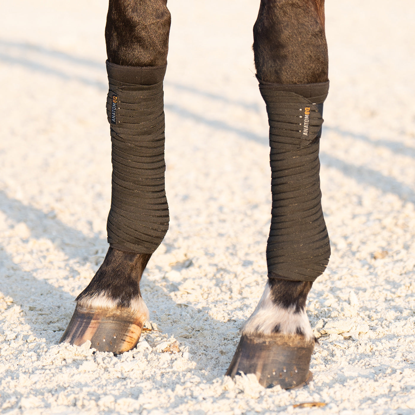 Anatomeq PoloPillows