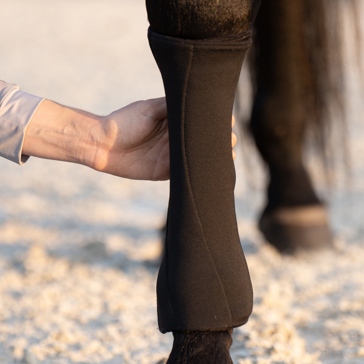 Anatomeq PoloPillows