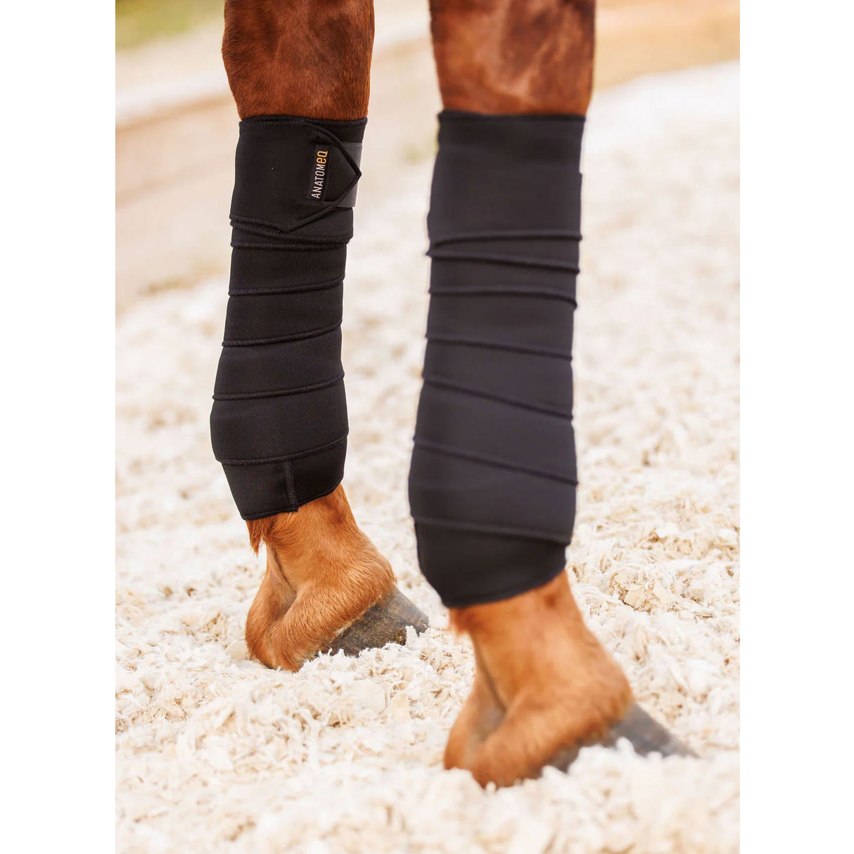 Bandes de polo Anatomeq SoftSupport