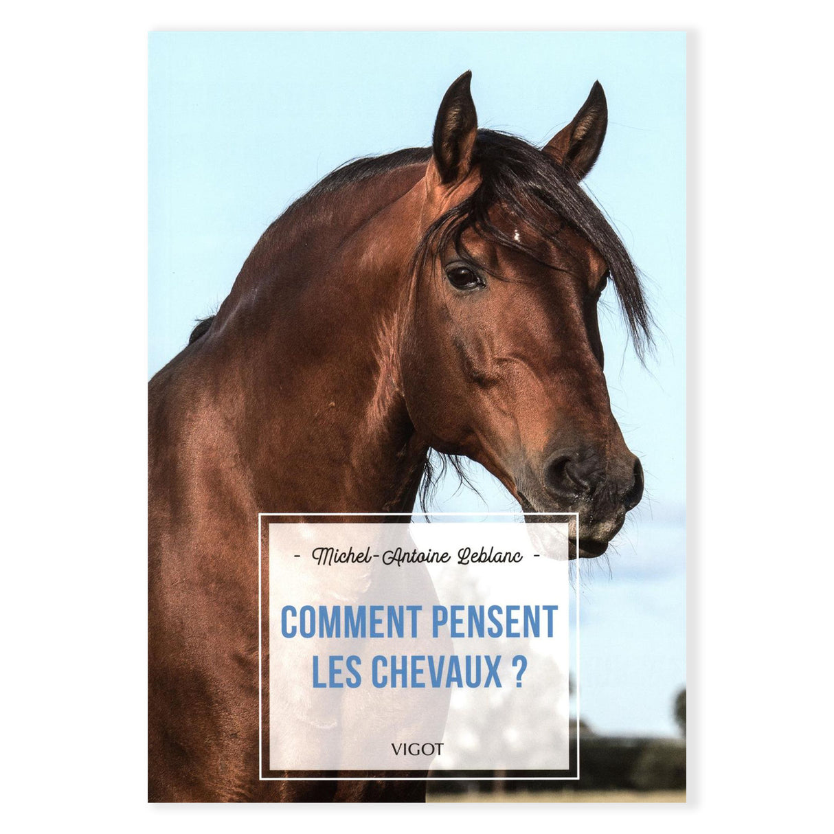 How do horses think?