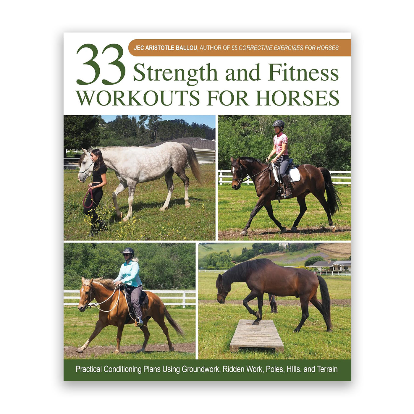 33 exercices de musculation et de fitness pour chevaux