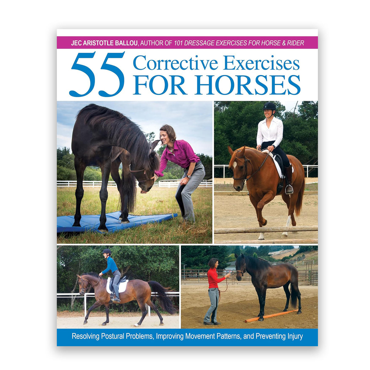 55 exercices correctifs pour chevaux