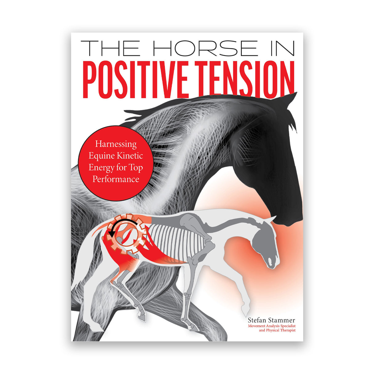 Le Cheval en Tension Positive