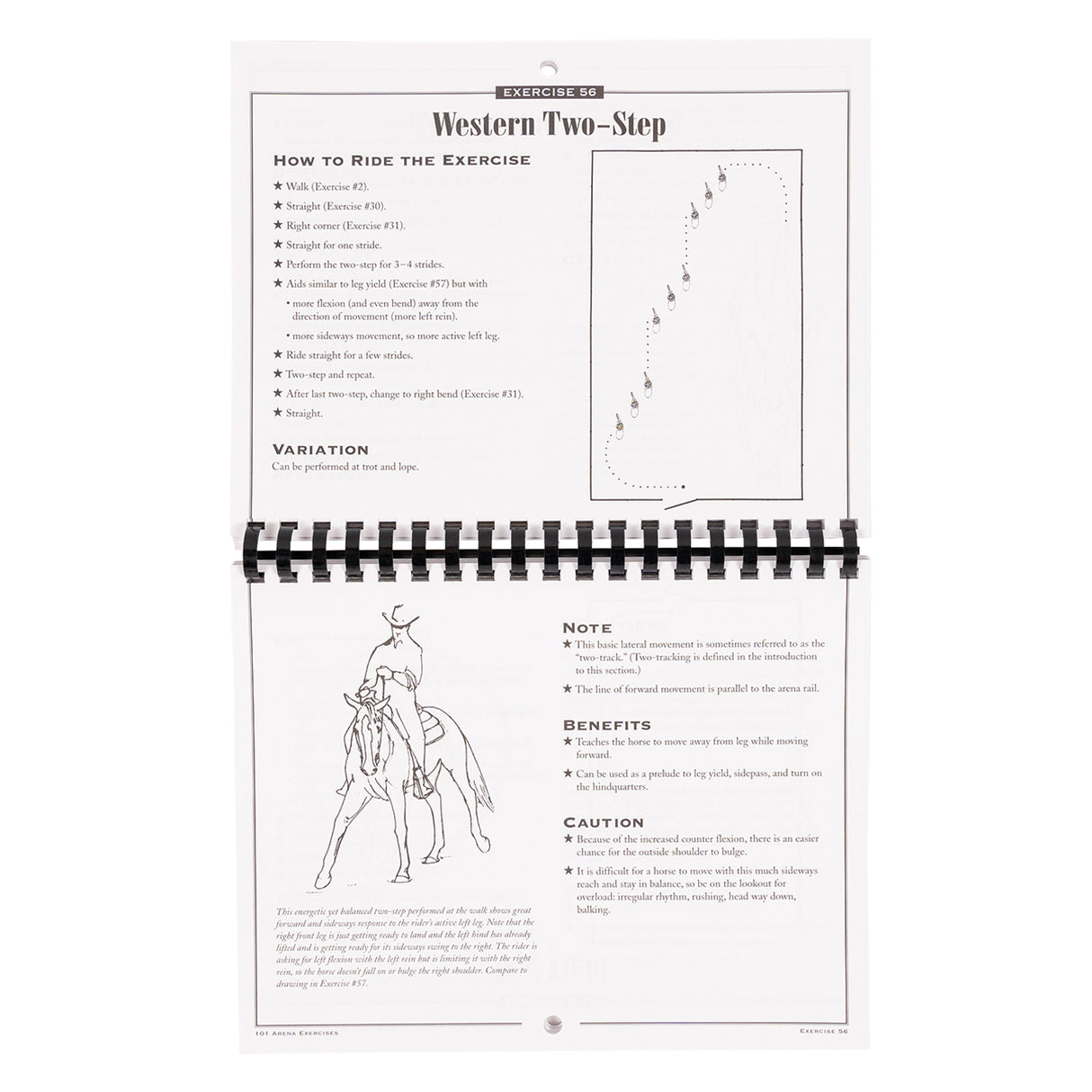 101 exercices d'arène