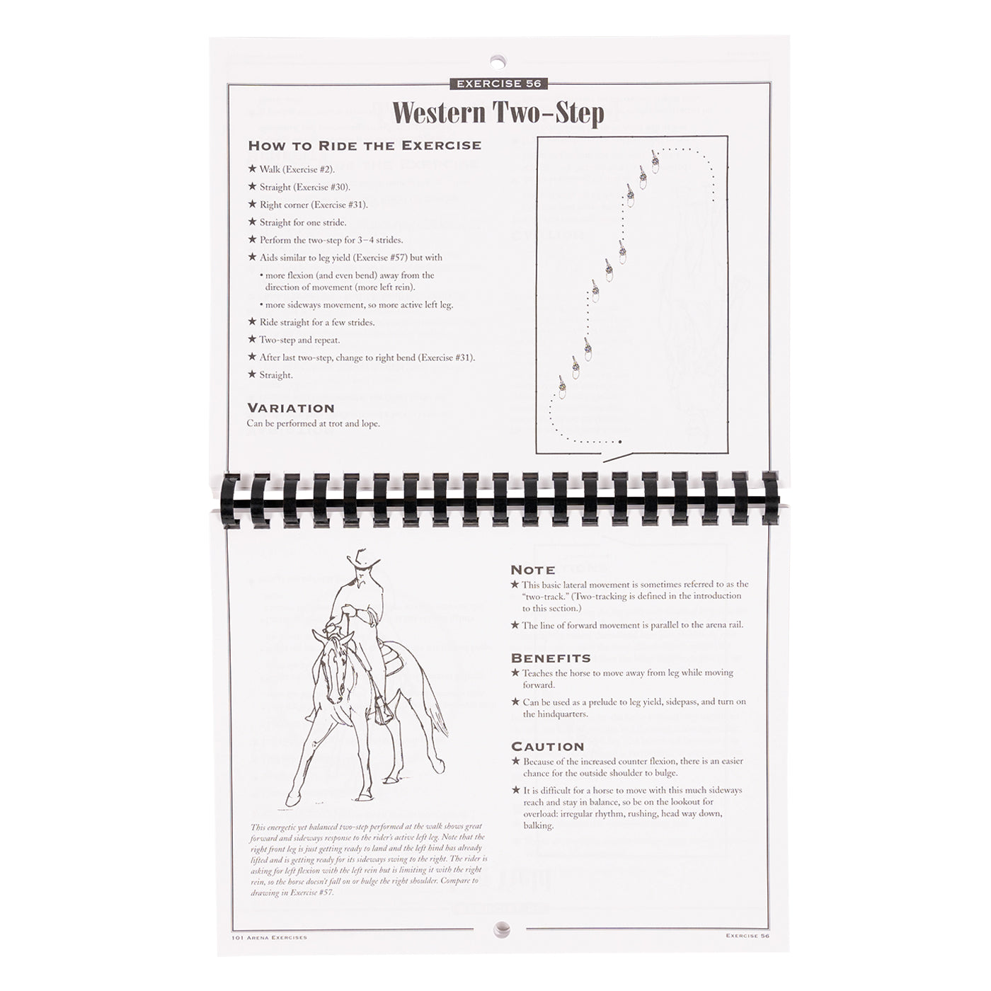 101 exercices d'arène