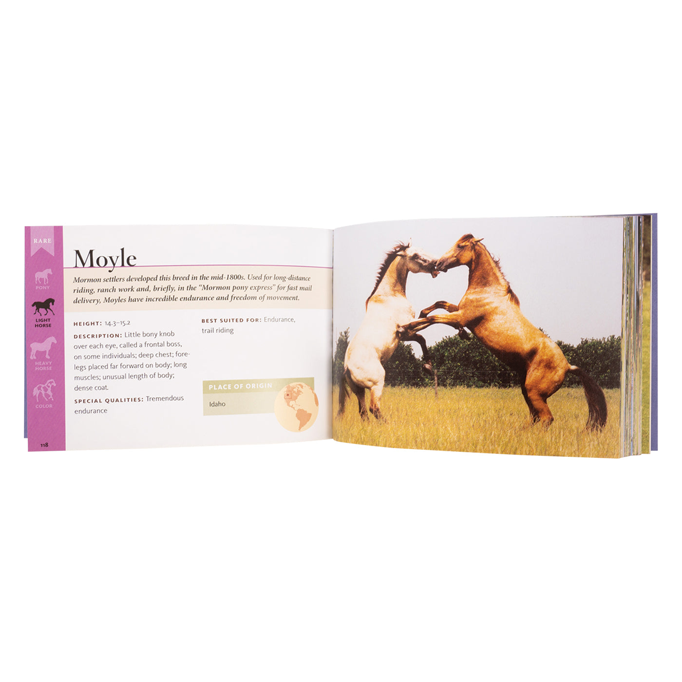 Races de chevaux d'Amérique du Nord