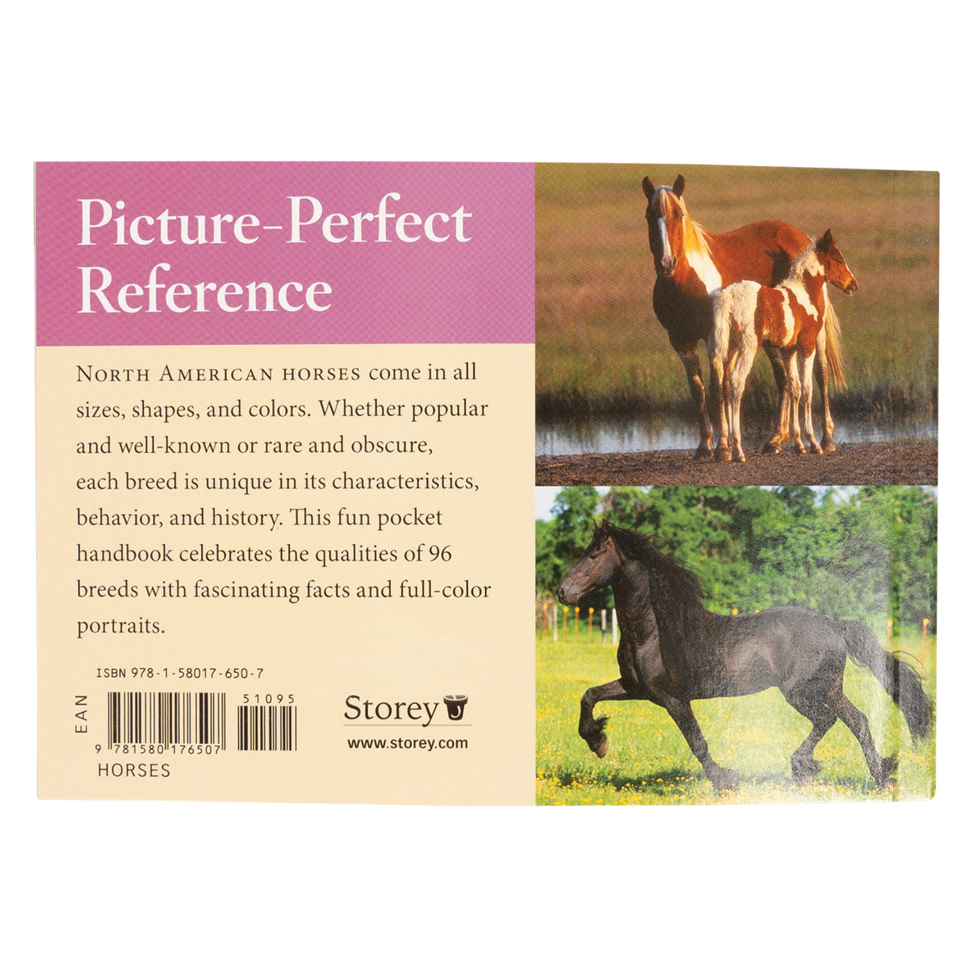 Races de chevaux d'Amérique du Nord